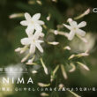 CULTI 新作「ANIMA」