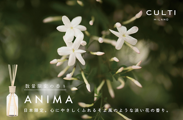 CULTI 新作「ANIMA」