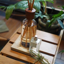 CULTI新定番EQUINOZIO(エクイノーツィオ)